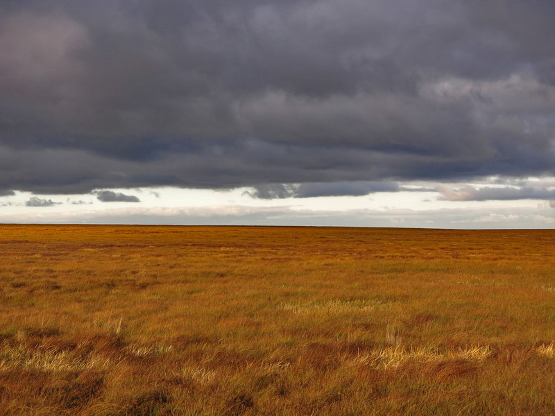 Moorland north of Shorngate Cross © Mike Quinn :: Geograph Britain and ...