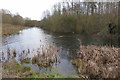 One of the Little Linford Lakes