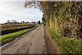 TF4680 : Pinfold Lane, Beesby by Ian S