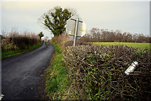 H4269 : Minor road, Creevangar by Kenneth  Allen