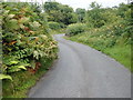 Ascending Drumilly Road from the B134 Mountain Road