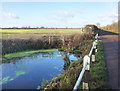 Pond beside Marsh Way