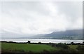 J1915 : Carlingford Lough from the A2 east of Killowen by Eric Jones