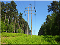 Power line through woodland near High Warren