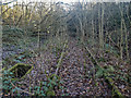SJ8046 : Disused Railway Lines between Silverdale Tunnel and Keele Station by Brian Deegan