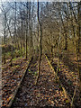 Disused Railway Lines between Silverdale Tunnel and Keele Station