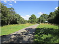 Bridleway near Bushylawn Lodge