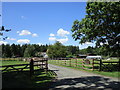 Paddocks near Bushylawn Lodge