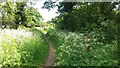 Path nearing Ilkley Road