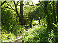 Public footpath to Dagwood Lane