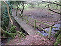 Llwybr Cwmyrarian / Cwmyrarian Path