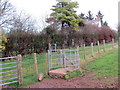 Llwybr Gellilednais / Gellilednais Path