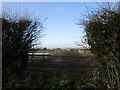 Gate and paddocks near Green Lane Farm