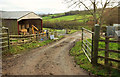 Track, Lilliput Farm