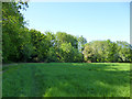 Field edge by Waterworks Spring, Doddinghurst