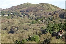 SO7641 : Perseverance hill and Pinnacle Hill by Philip Halling