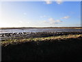 Waterlogged field, Anwick Fen