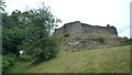 Grassy Path beside Montgomery Castle