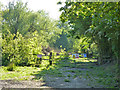 Gate into apparent waste land, Day