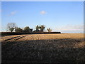 Stubble field near Anwick