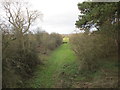 Trackbed of the former Great Central London Extension