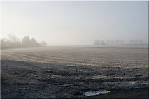 TL5982 : Frosted field near Prickwillow by Bill Boaden