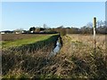 Footpath alongside Maspin Moor Drain at Roe Lane Bridge