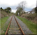 Towards the site of demolished Clyne Halt station