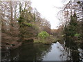 Newent Lake in winter