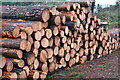 SU1203 : Log stack, Avon Heath Country Park by David Martin
