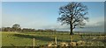 Fields by the A688