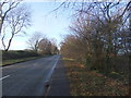 The Avenue approaching Burton Upon Stather