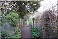 Path leading to Military Road, Rye