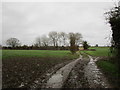 Farm track and footpath off Rock and Fountain Lane