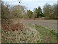 Footpath towards Pyrford Road