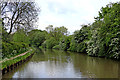 Coventry Canal north of Amington in Staffordshire