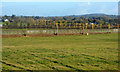 Landing lights at Belfast International Airport