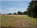 Stubble field with bales near Croughton