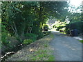 Lane to Brookside Cottage (Mansel Lacy)