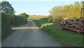 Lane at Upcott Farm