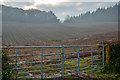 Newton St Cyres : Ploughed Field