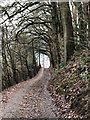 Minor road west of Llangollen