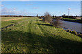 Royal Military Canal Path towards the A2070