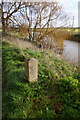 Mile marker on the  Royal Military Canal Path