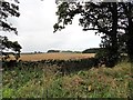 View from the roadside at Pike Hill crossroads