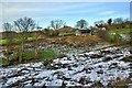 Gribdale Stables, Dikes Lane