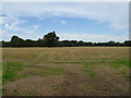 Stubble field off Hooton Road (B5133)