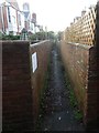 Alleyway between the houses in West Grove Road and St Leonards Road, Exeter 