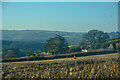 Beaford : Countryside Scenery