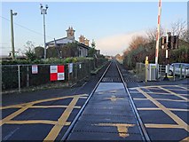 S6154 : Gowran railway station (site), County Kilkenny by Nigel Thompson